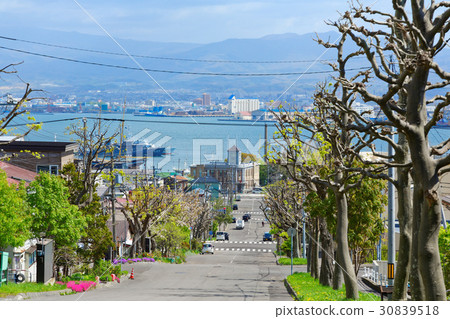 View of Hakodate Port from Yayozaka 30839518