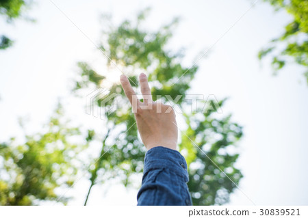 和平標誌 30839521