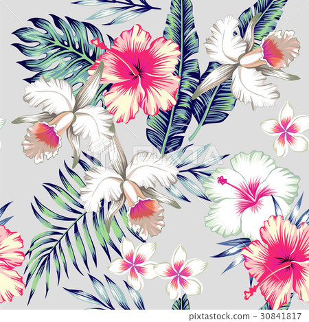 hibiscus and orchids tropical seamless background 30841817
