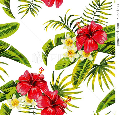 tropical flowers and plants pattern 30841845