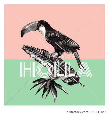 toucan and tropical plants trendy print toucan and tropical plants trendy print 30841848
