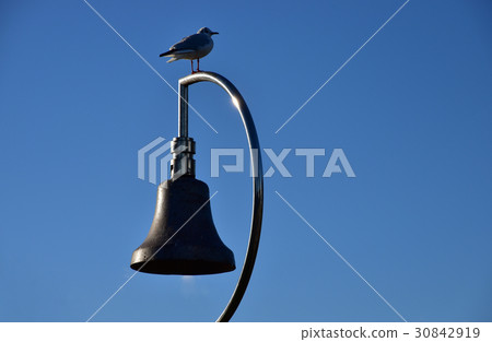 A scene of a bird staying at the bell in the blue sky park A scene of a bird staying at the bell in the blue sky park 30842919