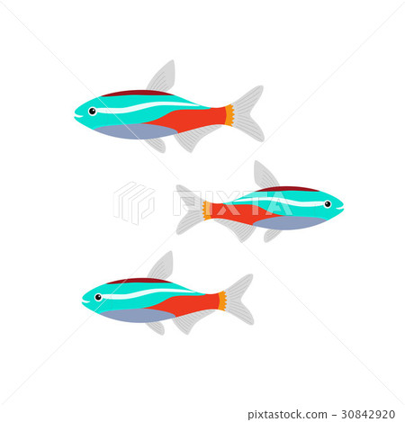 Neon fish aquarium flat. 30842920
