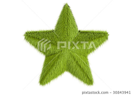 Star from grass, 3D rendering 30843941
