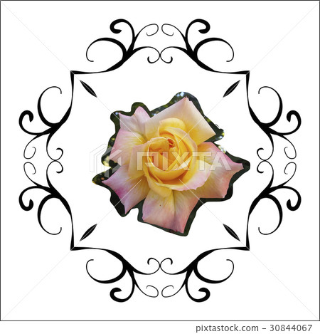 Floral frame retro rose decorative frame vintage Floral frame retro rose decorative frame vintage 30844067