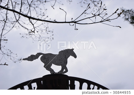 Shinshu Nobeyama Takahara在瀧澤牧場的初夏，Minamaki村 30844935