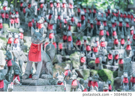 Toyokawa Inari 30846670