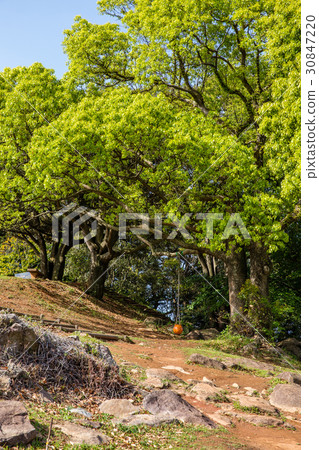 Swing Swing 30847220