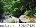 Deep green Okutama 30847420