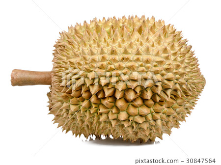 Durian isolated on the white background 30847564