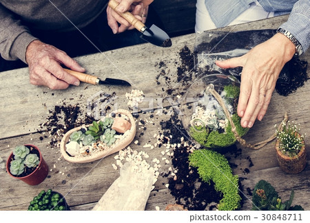 Botanical Environment Green Pottery Nature Botanical Environment Green Pottery Nature 30848711