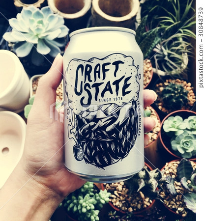 Hand holding craft state beer can with houseplants background 30848739