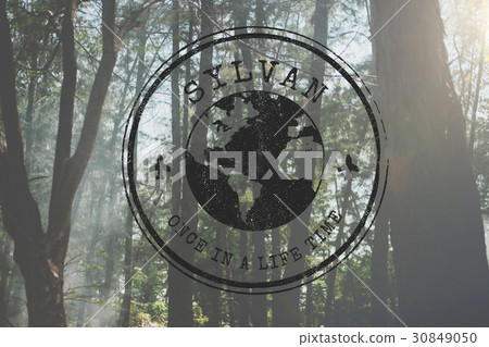 Sylvan Environment Forest Eco Word Sylvan Environment Forest Eco Word 30849050