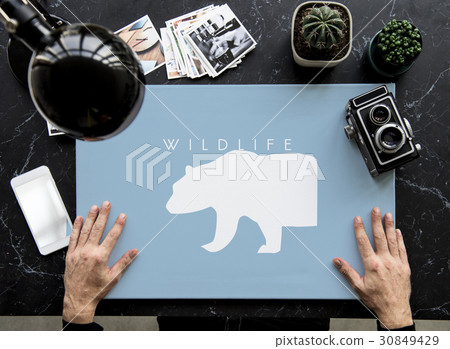 Animal Wildlife Word with Bear Graphic Animal Wildlife Word with Bear Graphic 30849429