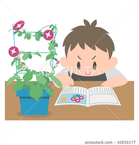 有牽牛花觀察日誌的男孩 30850177