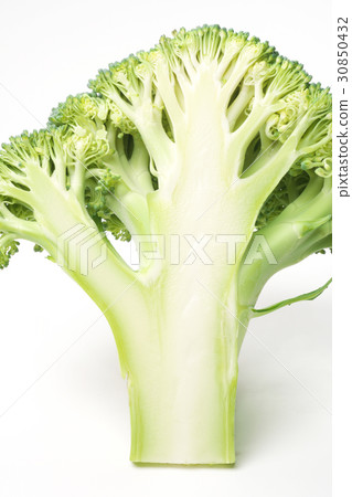 Cross section of broccoli Cross section of broccoli 30850432