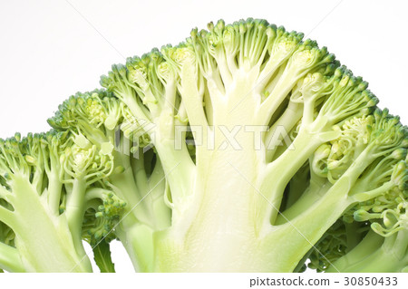 Cross section of broccoli Cross section of broccoli 30850433
