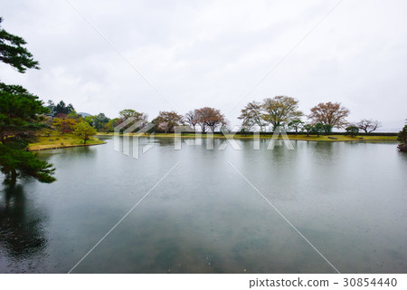 Shogakuin Riku Ukiminomiya Cherry blossom trees in Nishihama Shogakuin Riku Ukiminomiya Cherry blossom trees in Nishihama 30854440