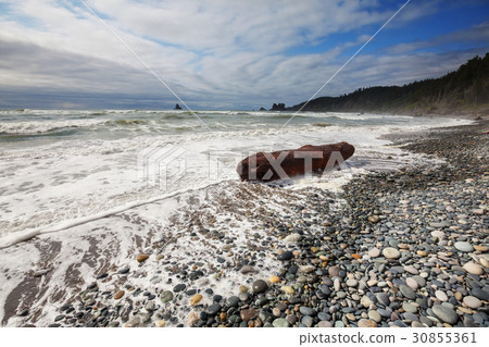 Olympic coast 30855361