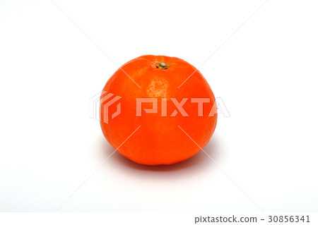 Seminole mandarin 30856341