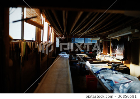 Dye workshop workshop 30856581