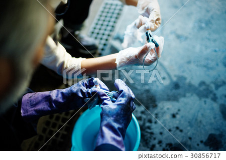A woman learning with a man who teaches tie dyeing 30856717