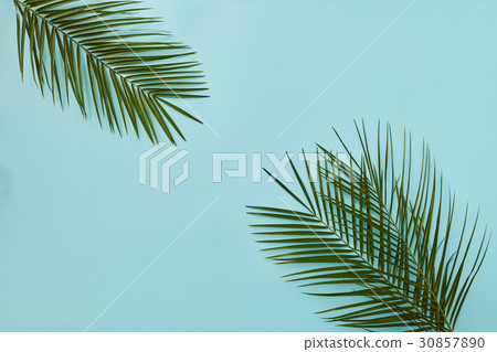 Palm leaves in the corners 30857890