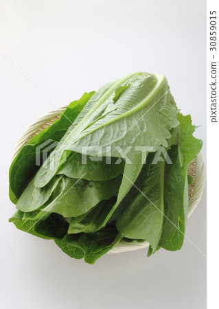Romein生菜 Romein生菜 30859015