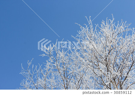 北見的椽子冰 北見的椽子冰 30859112