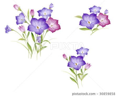 Powered by Translate 30859858