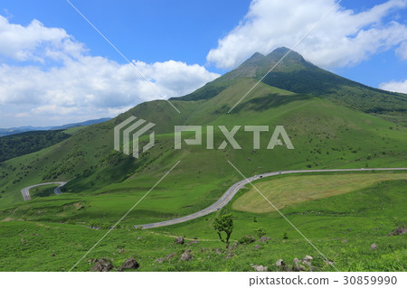 清新的綠色山脈和高原（由布市由布院町） 30859990