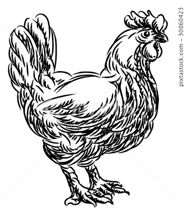 Chicken Rooster Food Grunge Style Hand Drawn Icon 30860423