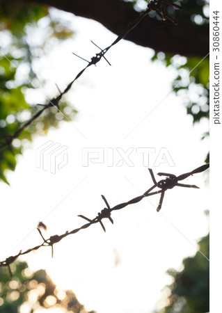 barbed wire fence with sharp spikes 30860444