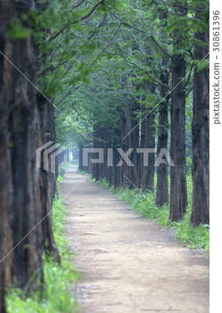 首爾麻浦區上南洞世界杯公園 30861396