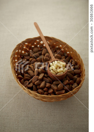 Pine nut 30861666