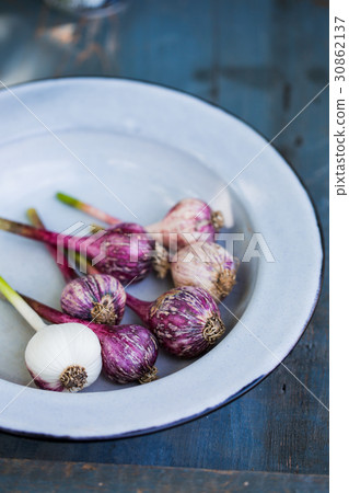 purple Garlic in a bowl purple Garlic in a bowl 30862137