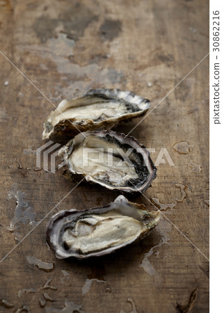 oyster 30862216