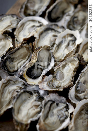 oyster 30862228