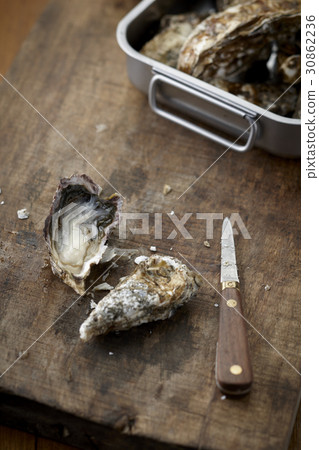 oyster 30862236