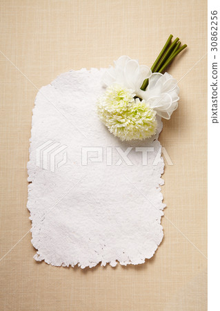 菊花,和諧 菊花,和諧 30862256