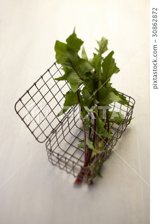 Chicory 30862872