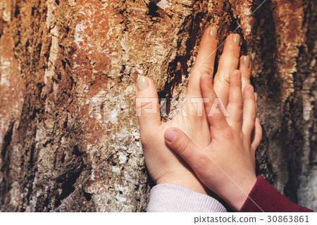 Mother's and son's hands located on old tree 30863861