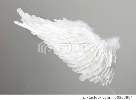 天使的翅膀 天使的翅膀 30863994