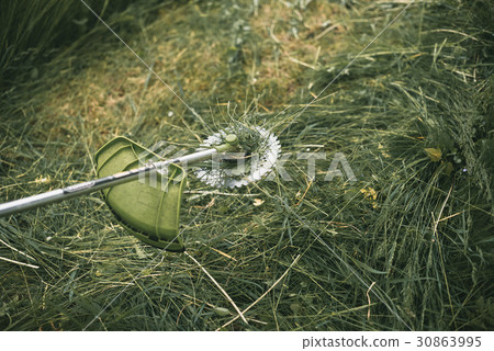 Gasoline trimmer head on green grass.  30863995