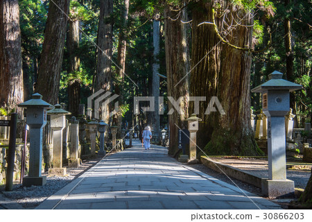 Wakayama Road to Koyasan Okunoin Wakayama Road to Koyasan Okunoin 30866203