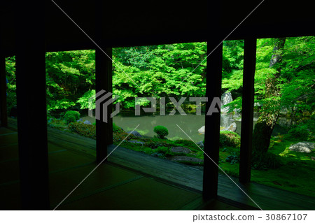 Lotus Temple of the fresh green Lotus Temple of the fresh green 30867107