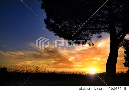 Sunset, summer evening 30867346