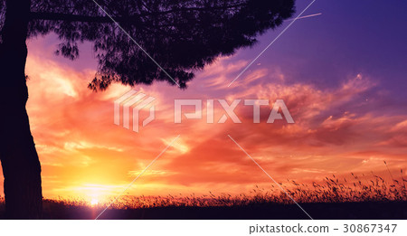 Sunset, summer evening Sunset, summer evening 30867347