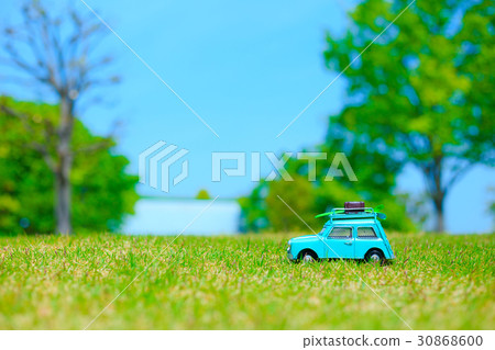 Car model and natural green 30868600