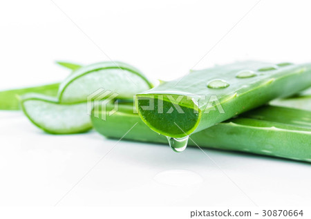 slice aloe vera fresh leaf isolated on white slice aloe vera fresh leaf isolated on white 30870664